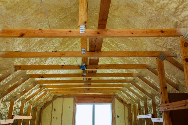 Building Insulation Service in Bastrop, TX