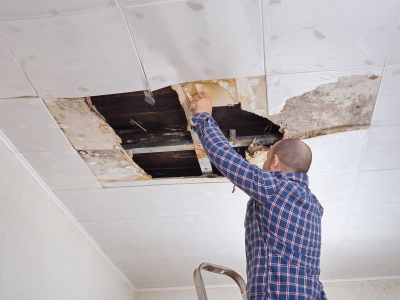 Ceiling Repair Service in Kansas City, KS